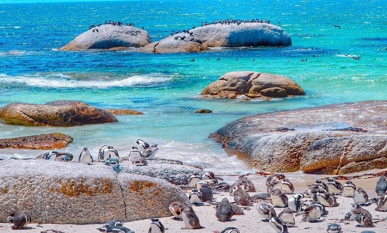 Boulders Beach