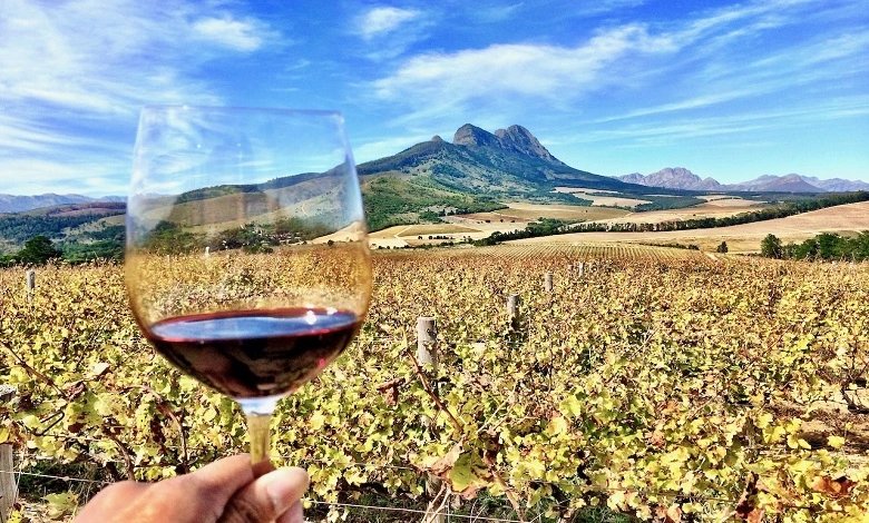 Cape Winelands