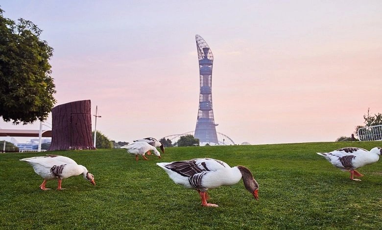 Aspire Park