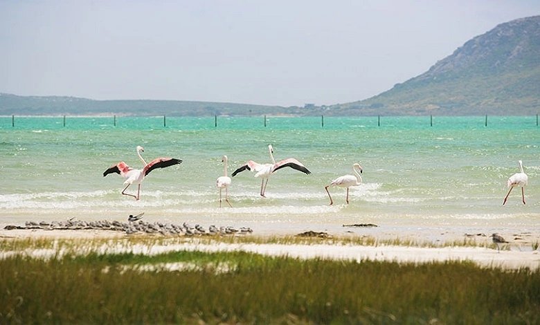 West Coast National Park
