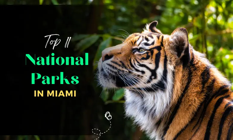 Top 11 National Parks in Miami with Beautiful Attractions
