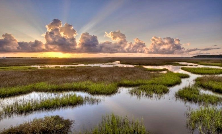 Timucuan Ecological & Historic Preserve
