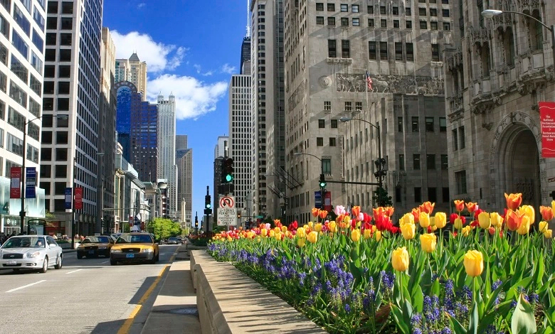 The Magnificent Mile 