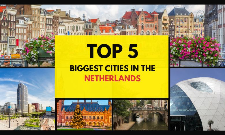 Top 5 biggest cities in the Netherlands