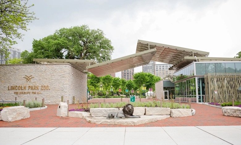 lincoln park zoo chicago