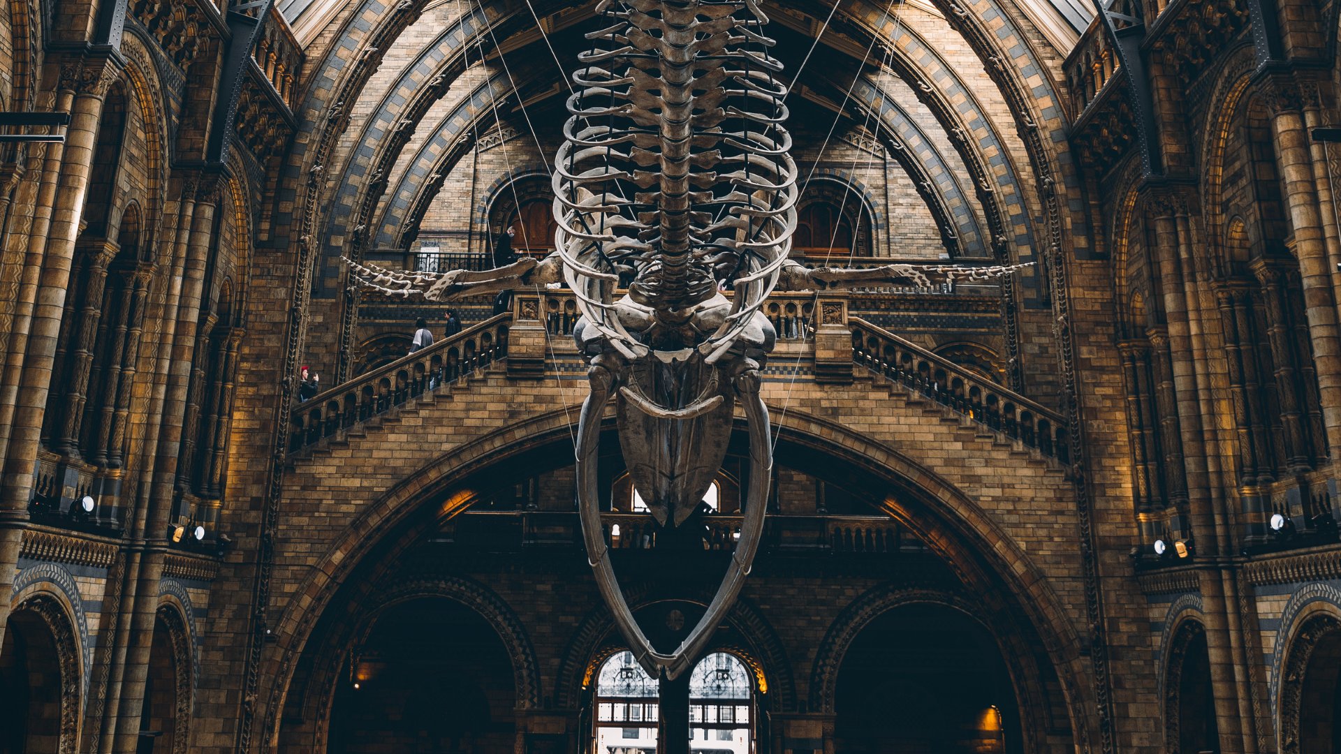 National Science Museum