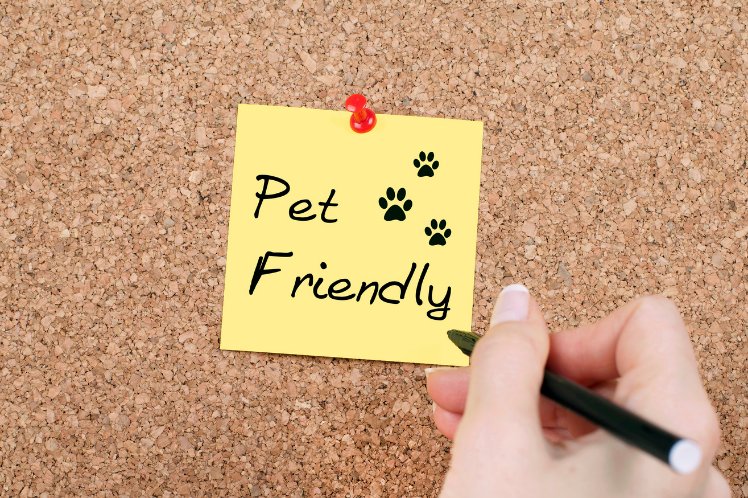 Pet friendly