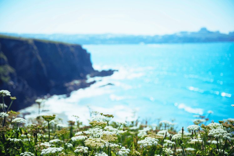 Newquay beach view