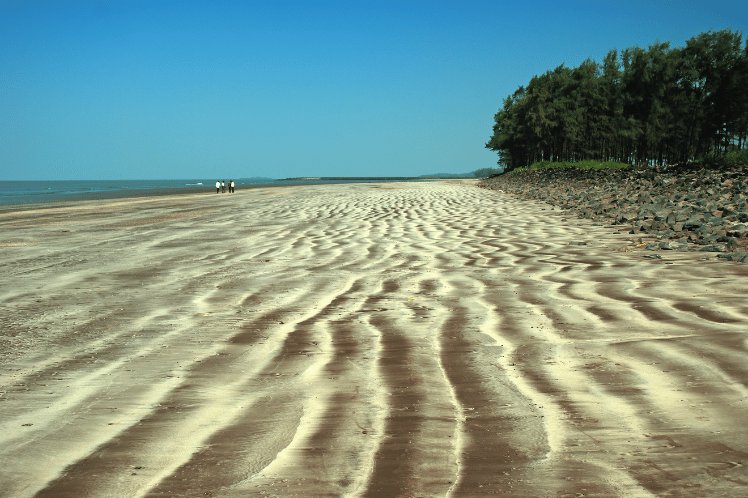 Sand bed in Alibaug Beach