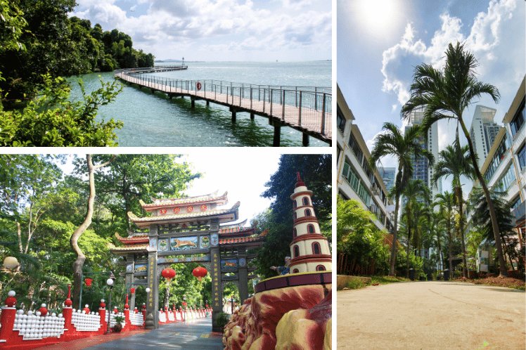 Unique Activities in Singapore