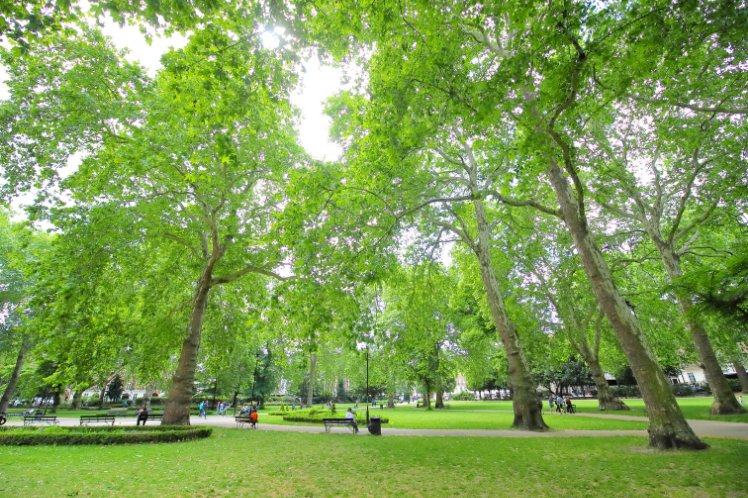  Hoxton Square old street London
