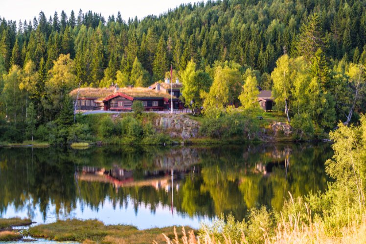 Hike in Nordmarka Forest