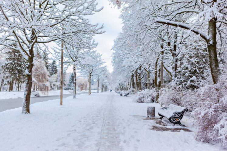 Hyde park covered in snow