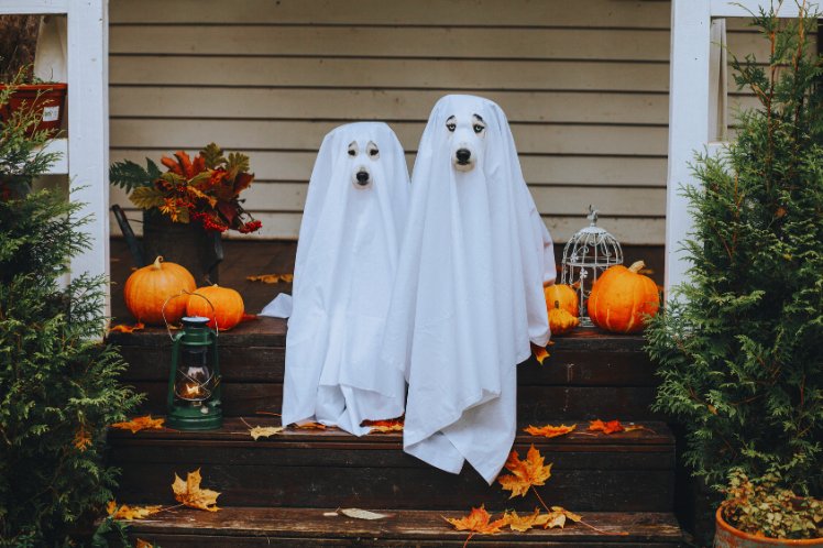 Howl’O’ween