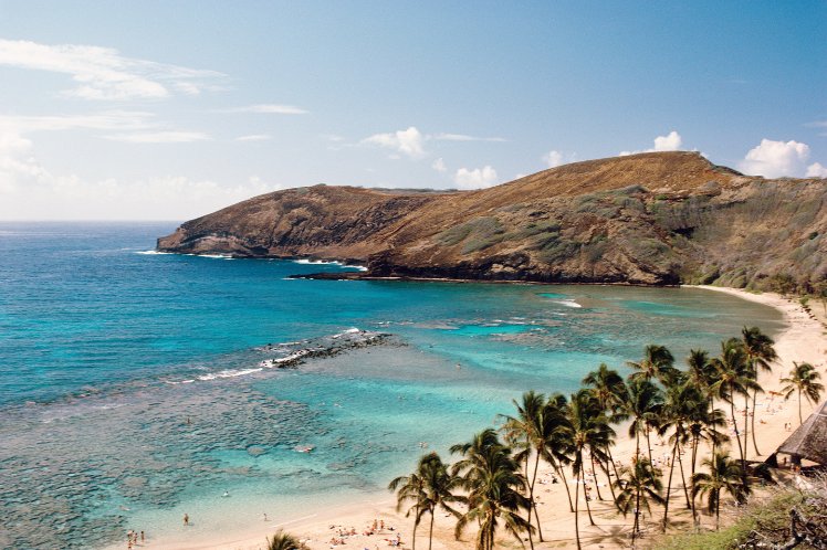  Tropical beach in Maui with palm trees and a clear blue ocean, surrounded by hills under the sunny Hawaiian sky.