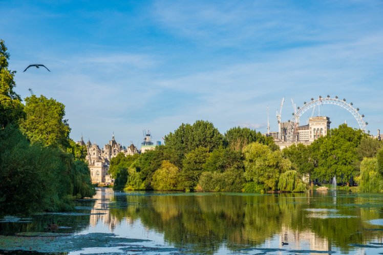 a picture of london eye with garden