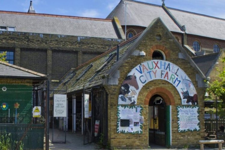 Vauxhall City Farm