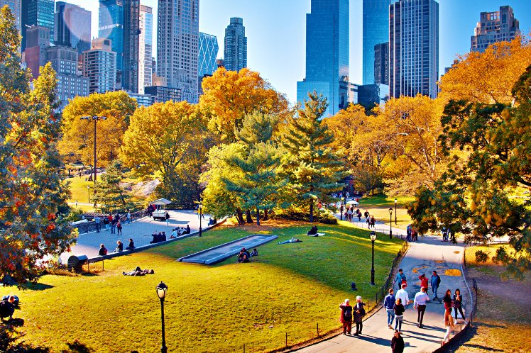 Stroll Through Central Park