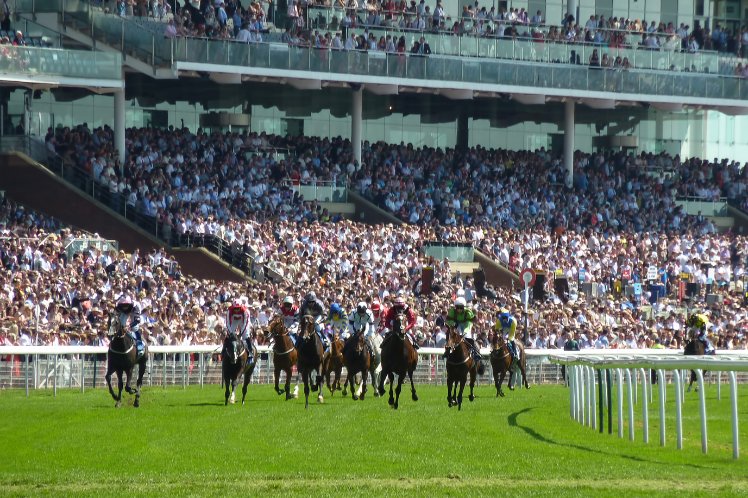 Chinese New Year Horse Races