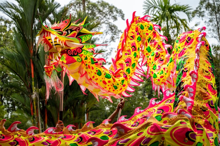 Lion dance performance in Chinese New Year