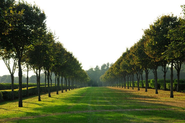 Grounds For Sculpture