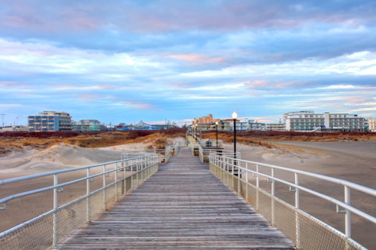 Wildwood