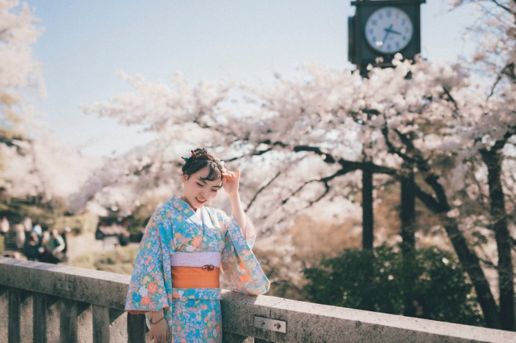  Cherry Blossom Festivals