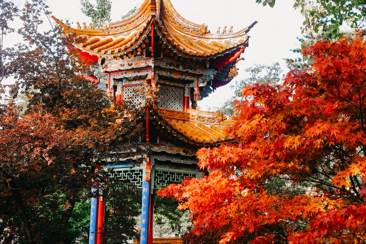 China Garden