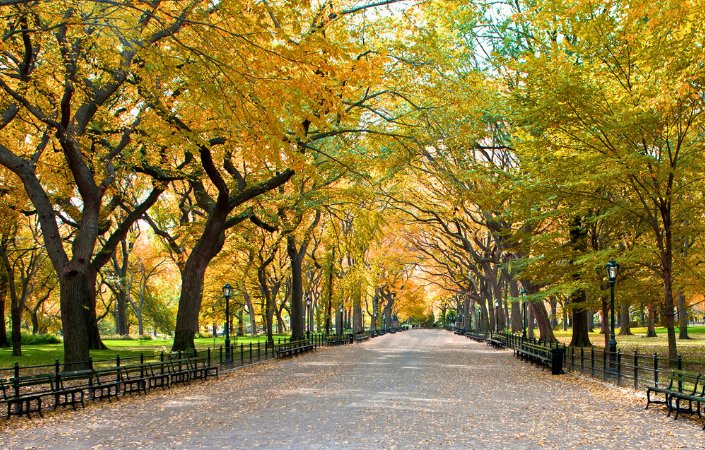 Stroll along the New York road