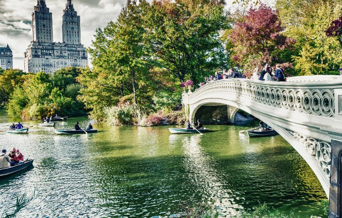 Central park in New York