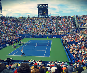Wimbledon Lawn Tennis Championships in London - All you need to know