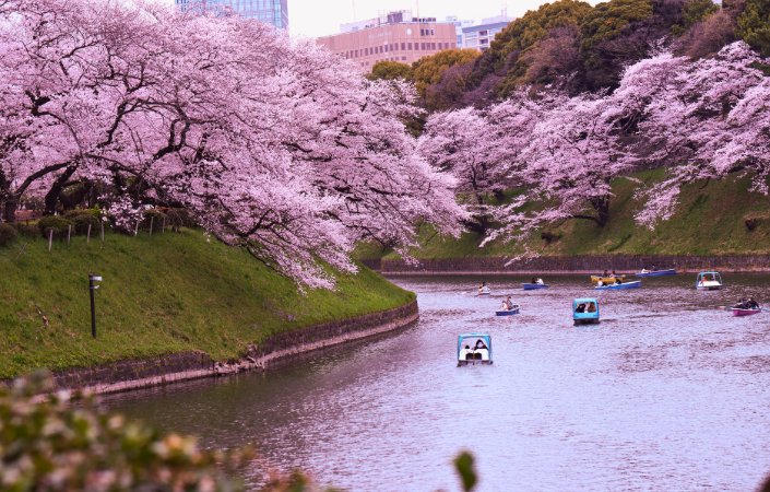 Tokyo, Japan