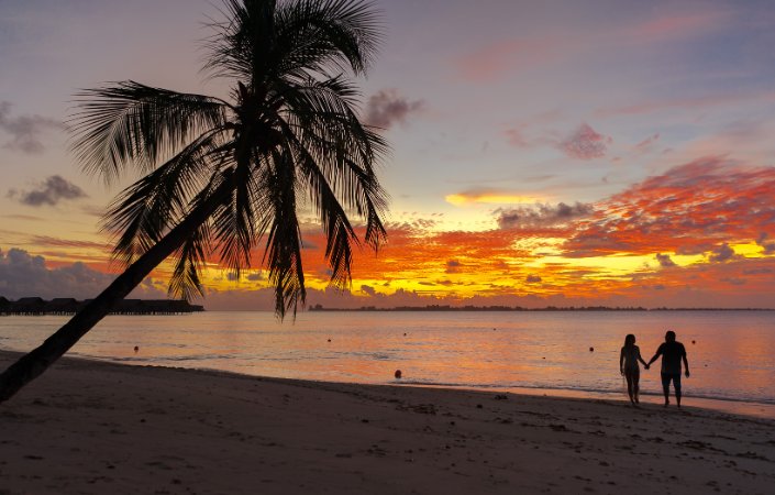 Couple on a beach at sunset with palm tree