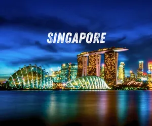 Singapore night at Night Festival 2025