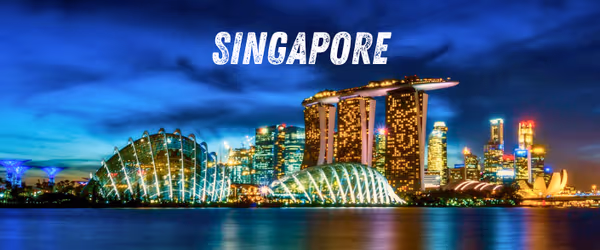 Singapore night at Night Festival 2025