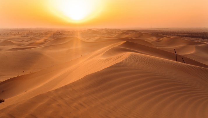 Dessert Adventure in Abu Dhabi