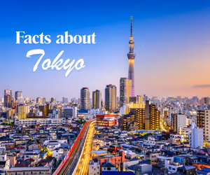 Facts about Tokyo blog