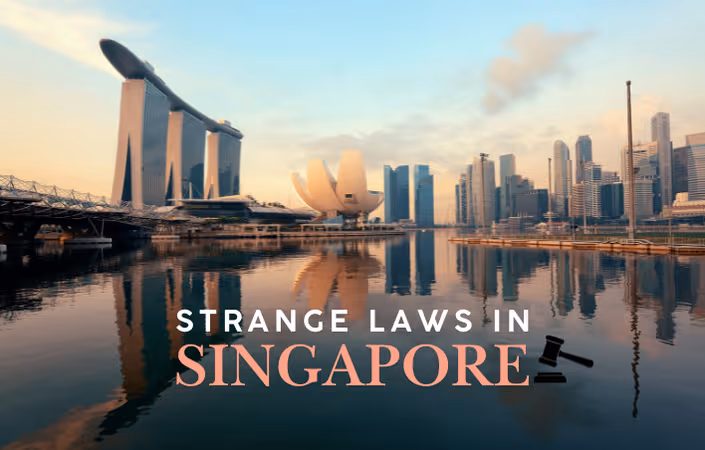 10 Weird Laws in Singapore Tourists Should Know to Stay Out of Trouble