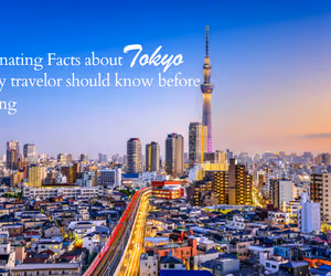 Facts about Tokyo blog