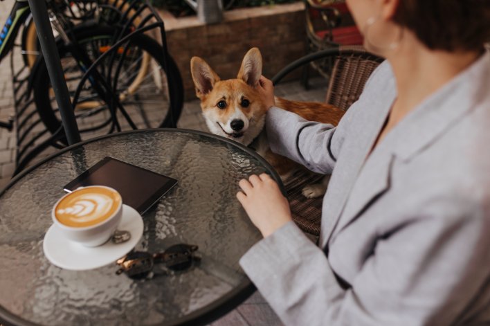 dog friendly cafes in Copenhagen