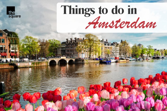  Things to Do in Amsterdam (2026)