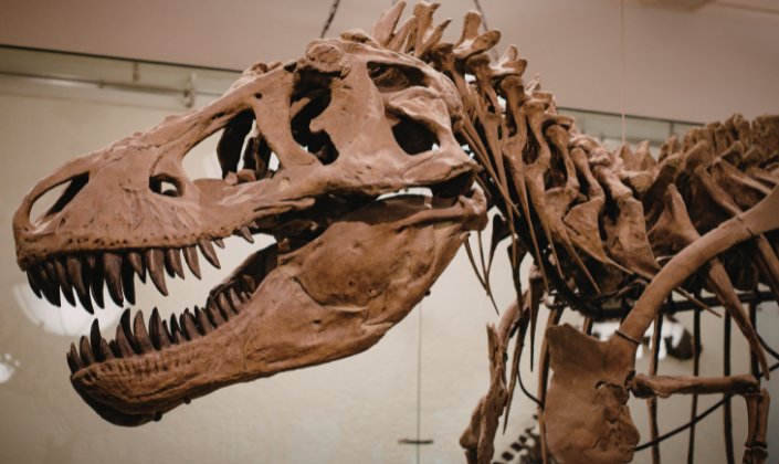 Shanghai tourist spots