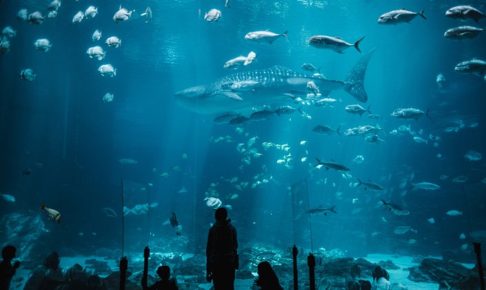 best places to visit in Shanghai