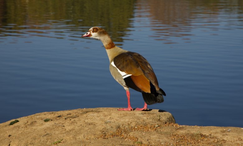 best things to do in Johannesburg