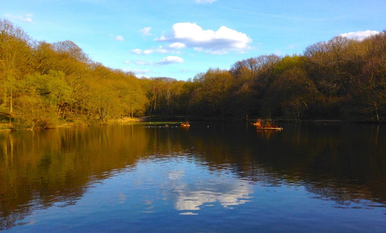 best neighborhoods in london for families