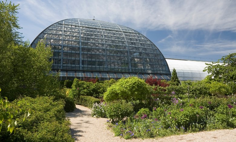 chicago Garfield Park Conservatory