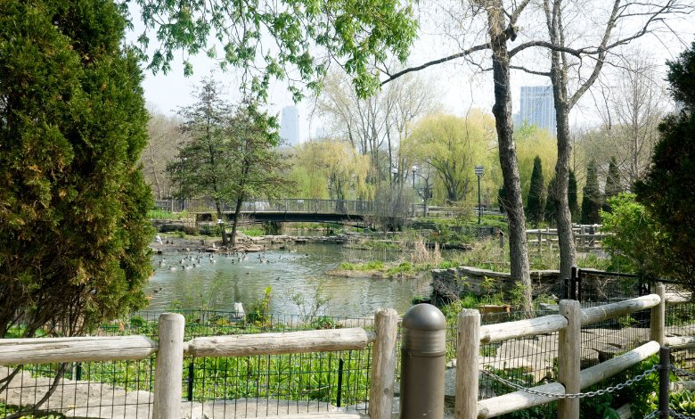 Lincoln Park Zoo chicago free things to do