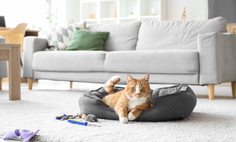 Pet-friendly neighbourhood in Tokyo, pet friendly apartments tokyo