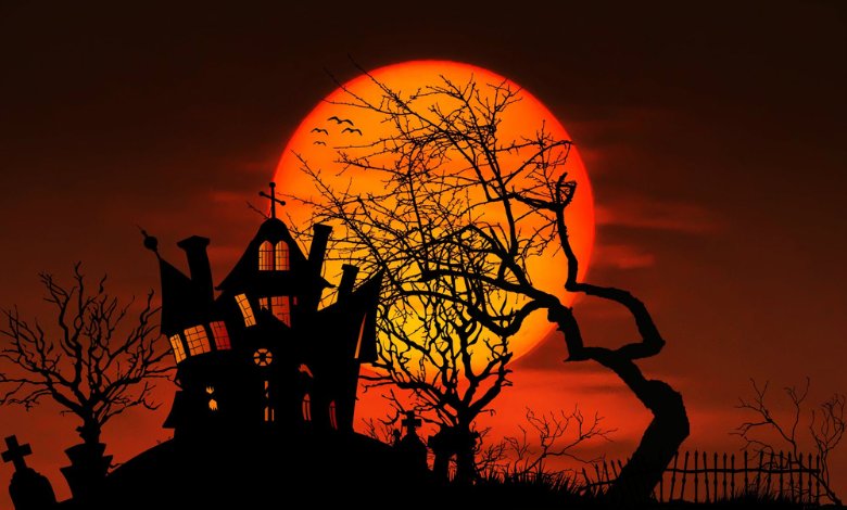best neighbourhoods chicago for halloween