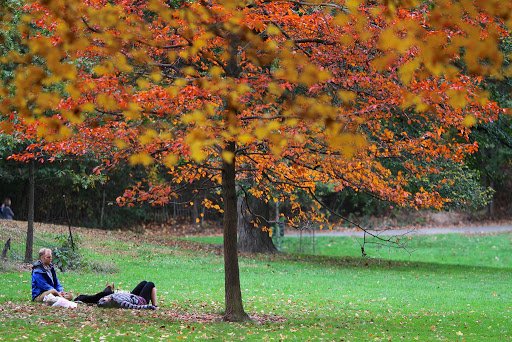 Prospect Park New York